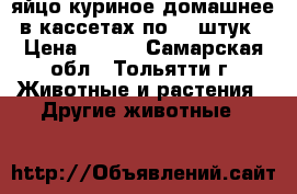 яйцо куриное домашнее в кассетах по 30 штук › Цена ­ 200 - Самарская обл., Тольятти г. Животные и растения » Другие животные   